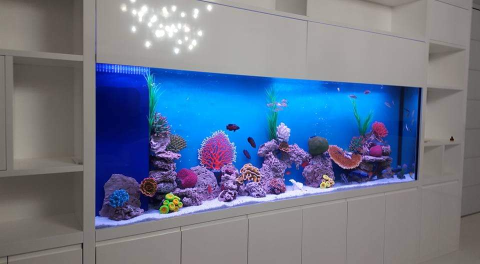 אקווריום בחיפה